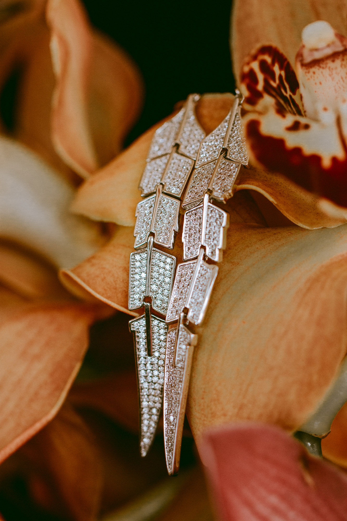 Exotic Jewelry Photography